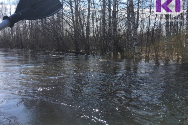 В Койгородском районе на реке Сысола пропал рыбак