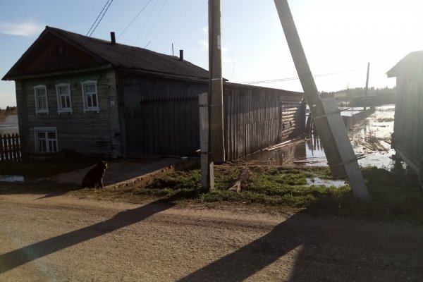 В селе Летка вода подошла к придомовым территориям 36 домов

