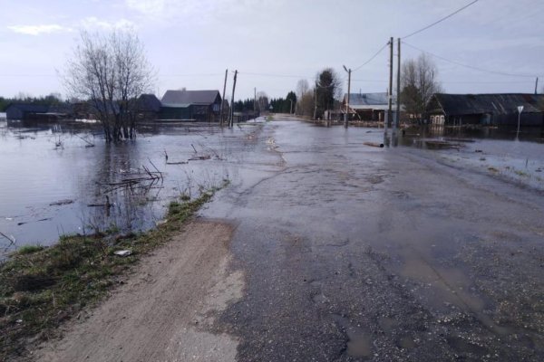 В селе Летка введен режим ЧС, ситуацию с паводком на месте оценил Владимир Уйба
