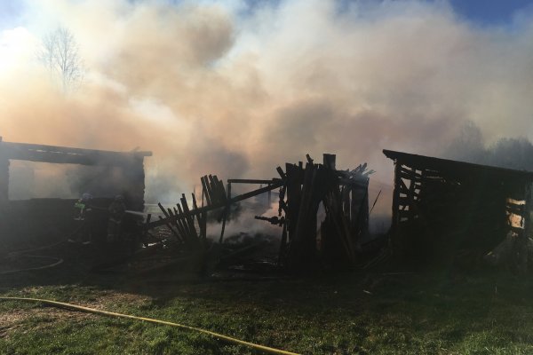 Восемь пожаров произошло в Коми за минувшие сутки 