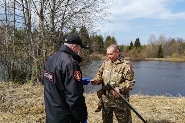 Росгвардейцы Коми выявили два факта охоты без разрешений