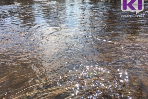 Пропавший на реке Лёхта в Прилузье дедушка найден утонувшим