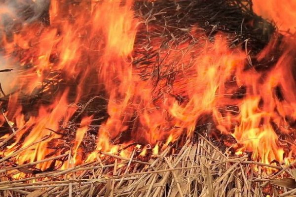 50 тонн сена сгорело в с.Грива Койгородского района
