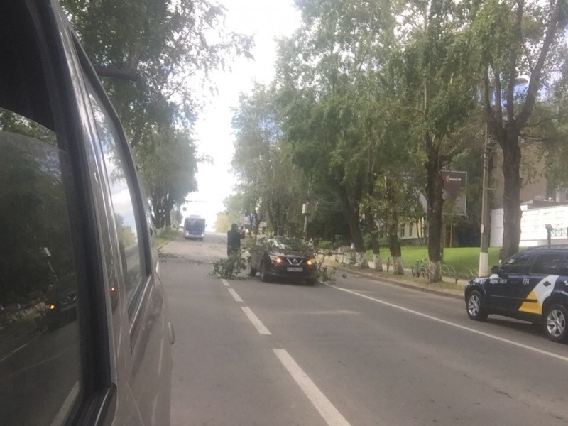 Сыктывкарец взыскал с дорожников более 350 тыс. рублей поцарапанную веткой дерева машину