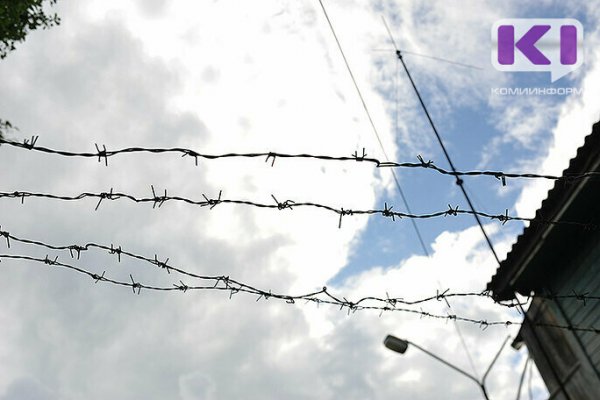 Житель Прилузья отправится в колонию строгого режима за избиение женщины