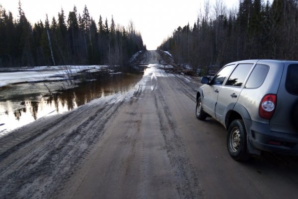 На восстановление размытых паводком дорог Коми получит 200 млн рублей из резервного фонда РФ