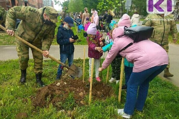 Дети Сыктывкара высадили полсотни деревьев в свой праздник