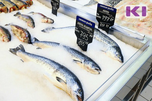 Жителей Коми предупреждают об опасности употребления свежей рыбы

