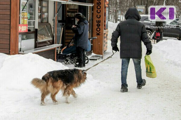 В Сыктывкаре запретят выгул собак на детских площадках и в парках