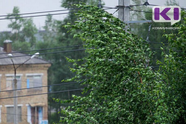 В Коми сегодня ожидается шквалистый ветер, грозы и ливни