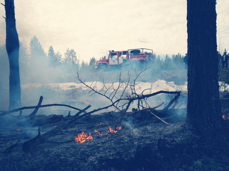 В Троицко-Печорском районе лесной пожар угрожал поселку 