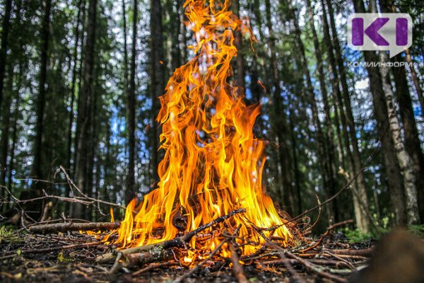 В трех муниципалитетах Коми сохраняется высокая пожароопасность