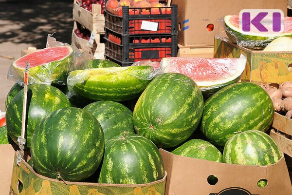 Роспотребнадзор разработал новые санитарные требования к магазинам