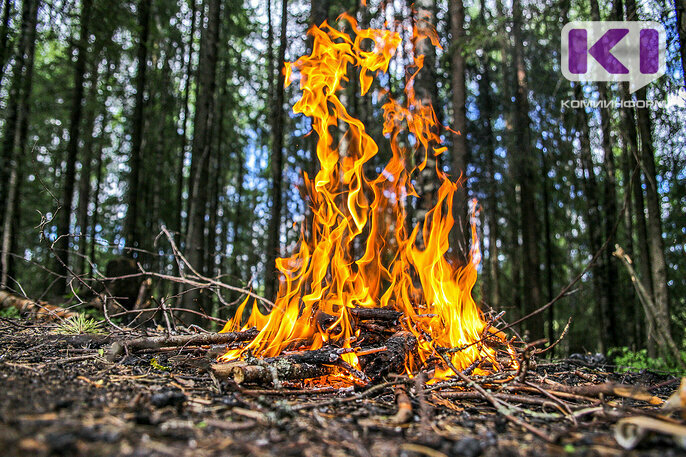 В трех районах Коми ожидается чрезвычайно высокий класс пожароопасности в лесах