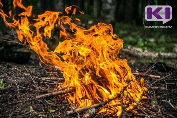В Коми из-за грозы загорелся лес на площади 10 га