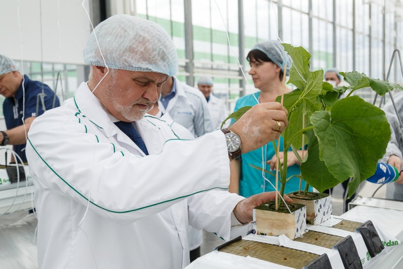 Владимир Уйба ознакомился с технологией круглогодичного производства овощей в Сосногорске