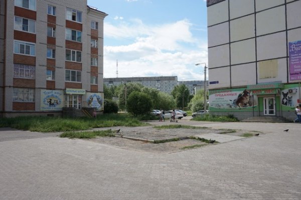 Жители сыктывкарской Орбиты отказываются от арт-объектов, тренажеров и детских площадок в пользу сада 