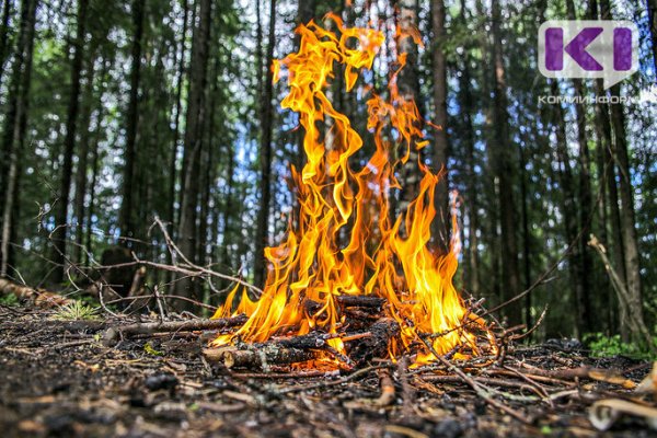 Виновный в возникновении лесного пожара в Коми привлечён к уголовной ответственности

