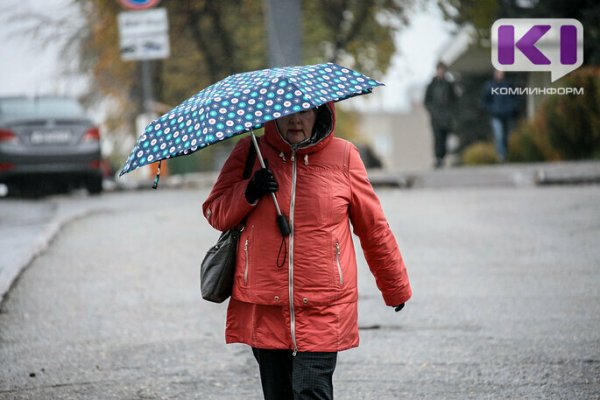 Июнь в Коми завершится холодной погодой и небольшими дождями