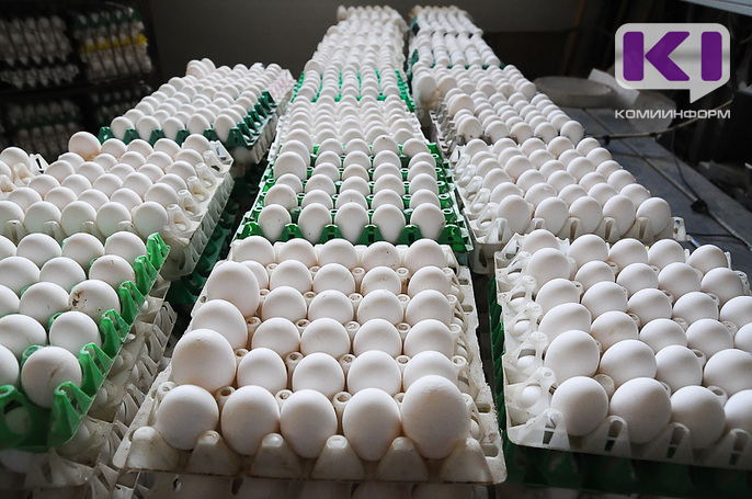 Мыть или не мыть: эксперт рассказал о безопасном приготовлении яиц
