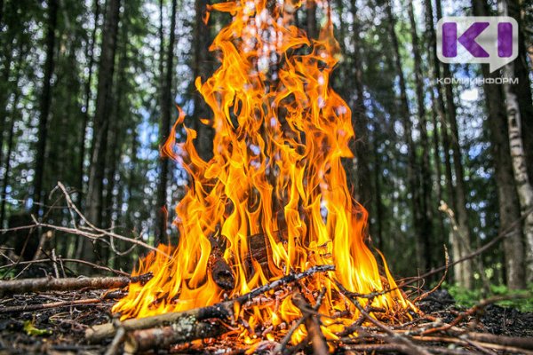 Высокая пожароопасность ожидается еще в четырех районах Коми