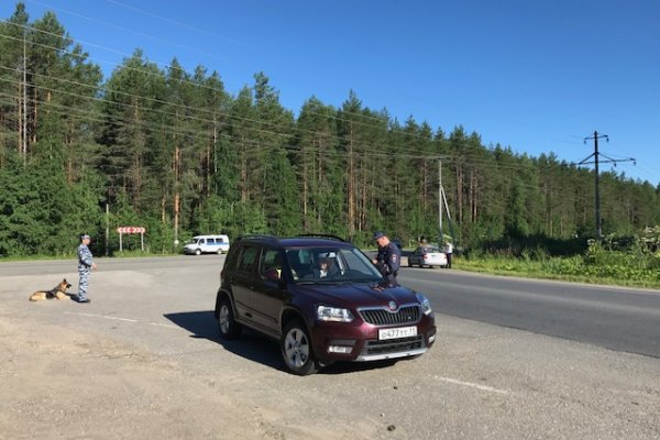 На выходных автоинспекторы Сыктывкара задержали шестерых водителей в состоянии опьянения