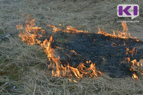 В восьми муниципалитетах Коми завтра ожидается высокая пожароопасность