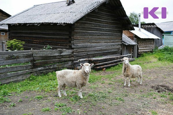 В Коми комплексное обустройство сельских территорий федеральный бюджет профинансирует до 95% 