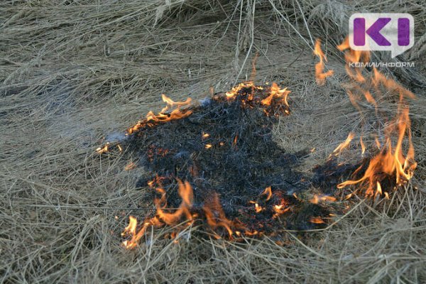 В Коми с 28 по 30 июля ожидается высокая и чрезвычайная пожароопасность 