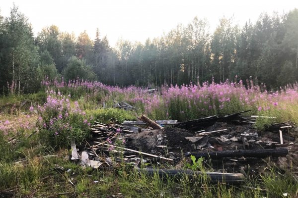 По иску прокурора Усть-Куломского района Минприроды Коми ликвидируют свалку в лесу 

