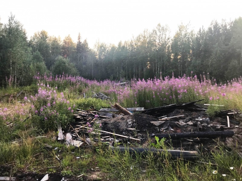 По иску прокурора Усть-Куломского района Минприроды Коми ликвидируют свалку в лесу 

