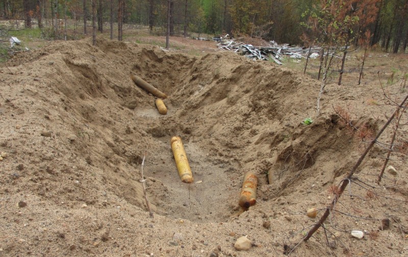В Удорском районе схрон с опасным веществом убил деревья в округе