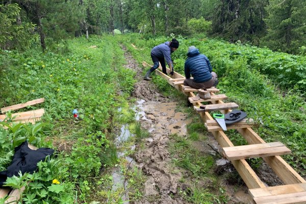 В Печоро-Илычском заповеднике волонтеры строят мостки к плато Маньпупунер

