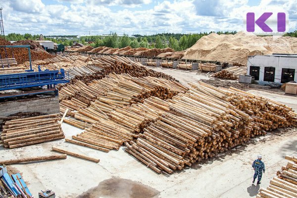 Владимир Уйба предложил запустить в Троицко-Печорске производство медицинского препарата из древесины

