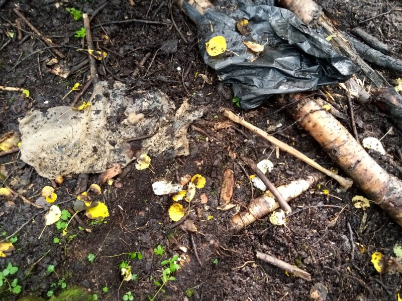 В Ухте в районе УРМЗ обнаружены останки человека 