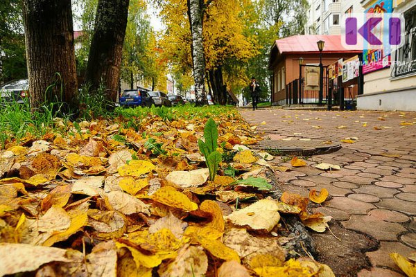 В Сыктывкаре 1 сентября прогнозируют ливень