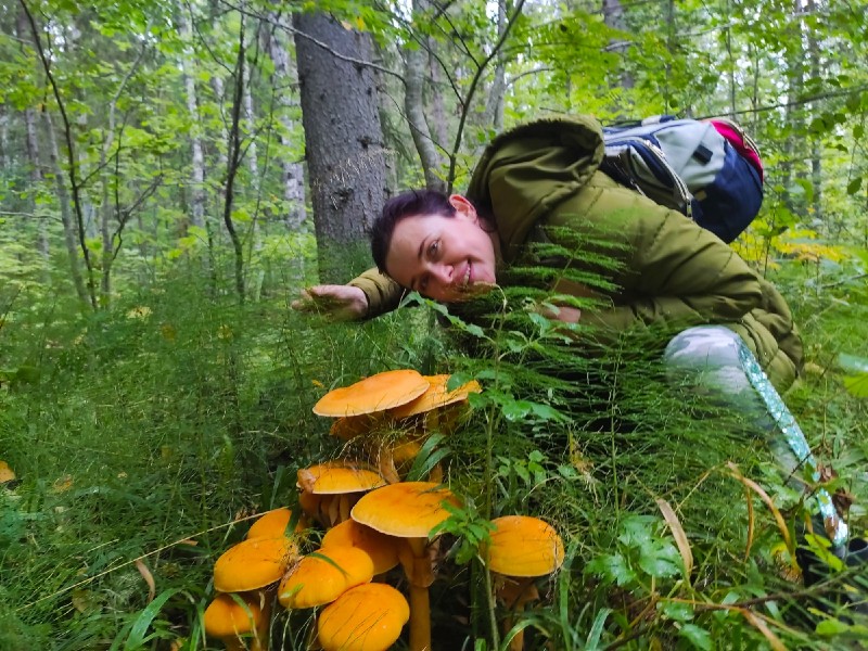 В лесах под Сыктывкаром размножился краснокнижный гриб-убийца