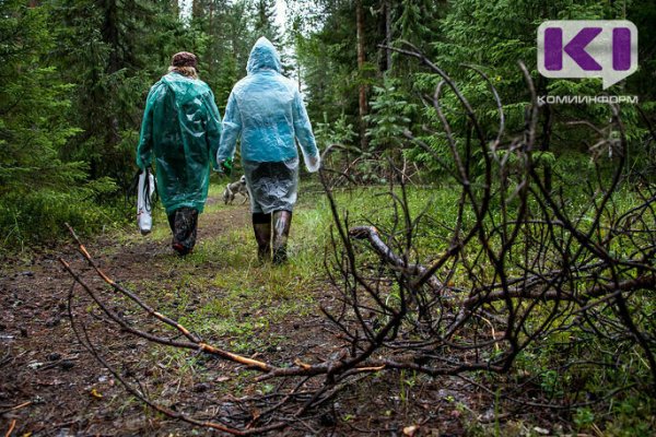 Ухтинские спасатели помогли бабушкам вынести грибы из леса 