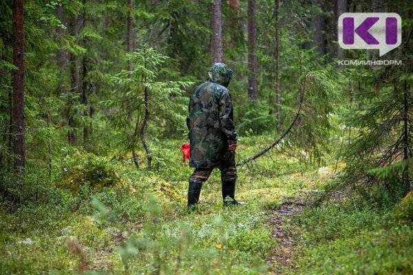 В Ижме 62-летний мужчина три дня плутал в лесу