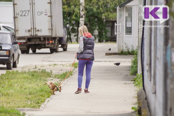 Депутаты Нижнего Одеса запретят домашним животным гадить в общественных местах
