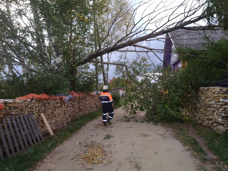 Сильный ветер повалил деревья в Объячево, потребовалась помощь спасателей