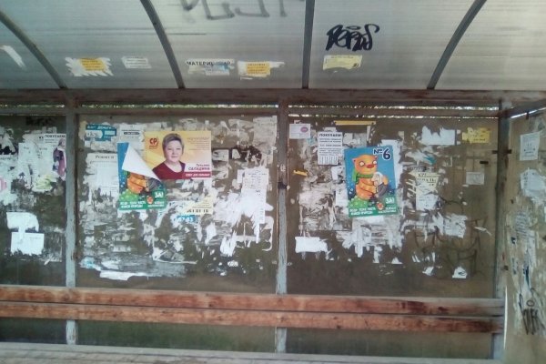 В Сыктывкаре накажут расклейщиков агитационных листовок