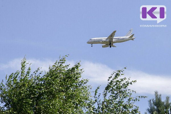 В Коми несостоявшаяся стюардесса выплатила долг авиакомпании
