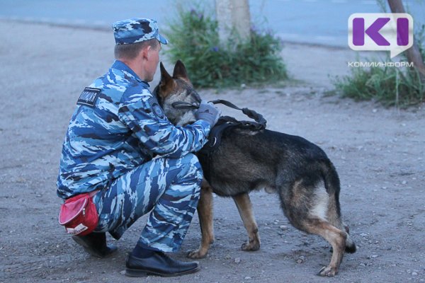 В Корткеросском районе служебная собака помогла полицейским раскрыть серию дачных краж