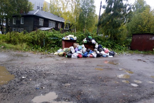 Сыктывкарцы завалили мэра фотографиями мусора