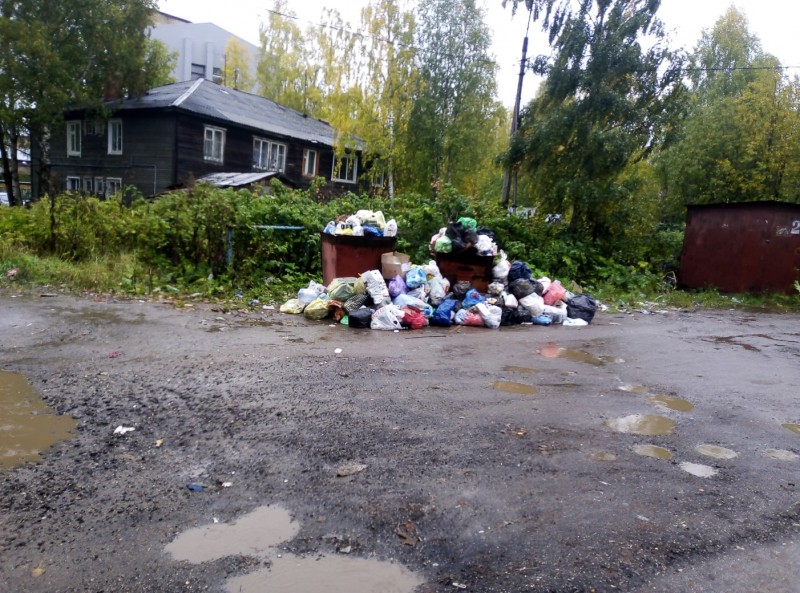 Сыктывкарцы завалили мэра фотографиями мусора