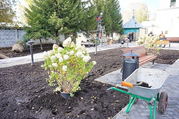 В Сыктывкаре начали озеленение мемориала в Кируле