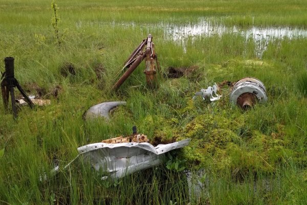 На болоте в Коми найдены детали американского военного самолета

