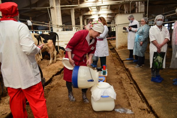 В Коми определили лучших операторов машинного доения коров

