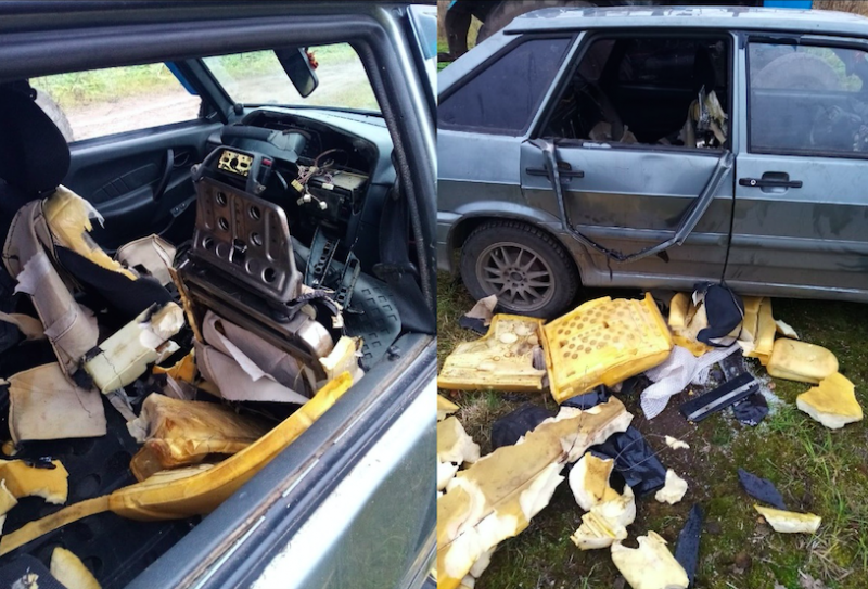 В Сыктывдинском районе обнаружили автомобиль со следами нападения медведя 